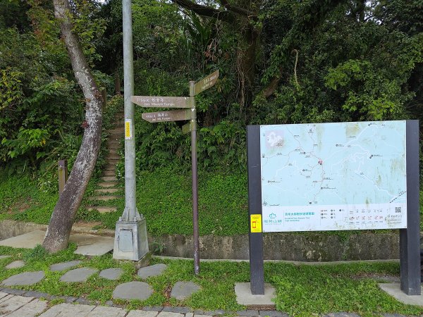 20260321大棟山系-百年大榕樹段