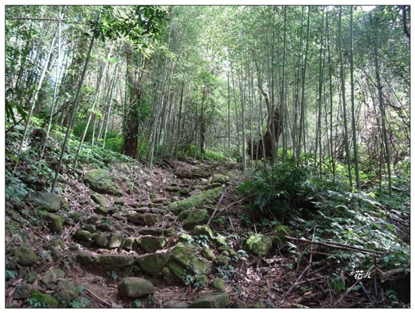 馬那邦山(小百岳)/上湖登山口2427066