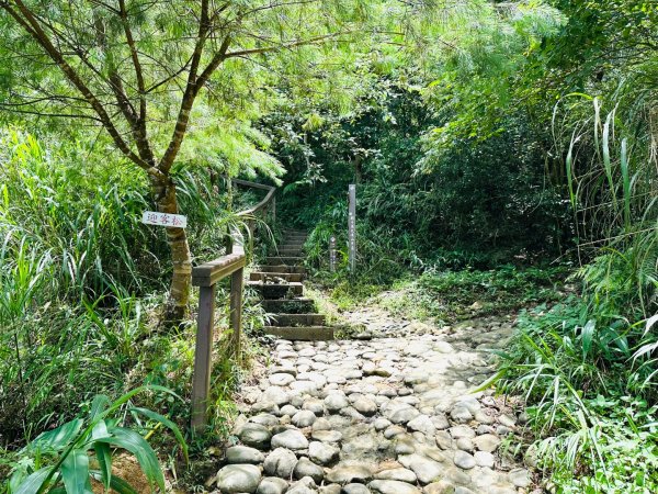 關仔嶺大凍山2845813