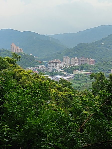 微笑山線：【二格山系】和美山螢火蟲段2834852