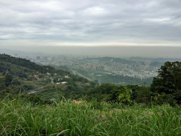 臺北大縱走-飛龍步道(政大)至麟光站784477