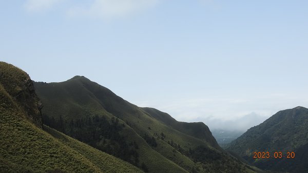 陽明山再見雲海，天空之城 ? 水淹金山寺 ? 3/202080086