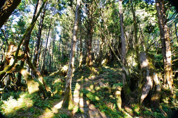 宜蘭 大同 多門山3127625