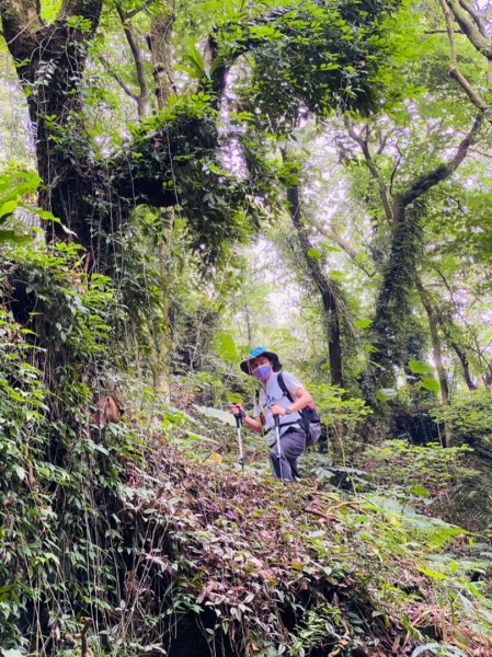 1100911嘉義獨立山步道（加映森鐵）1457527