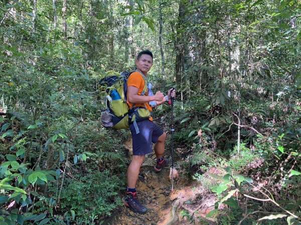 雙龍林道-巒安堂-西巒大山【一切都很美好 除了肩膀之外】2567815