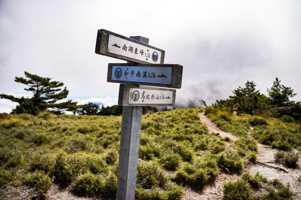 帝王之座-南湖東峰線｜南湖東峰＋陶塞峰＋馬比杉山2884909