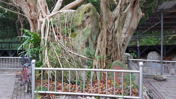 芝山岩步道 惠濟宮  石頭公廟 妙侊寺2087809