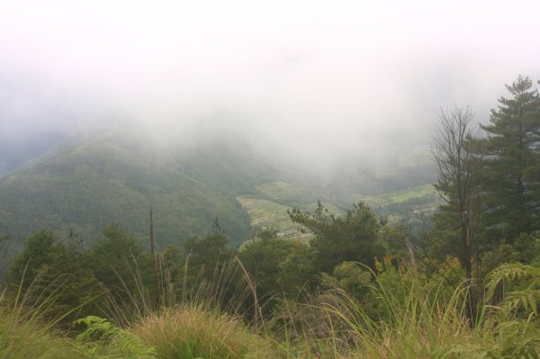 羅(葉尾山)馬(武佐野郡山)縱走816281