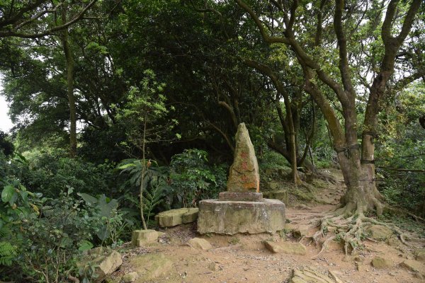 樹林大棟山／小百岳0151408545