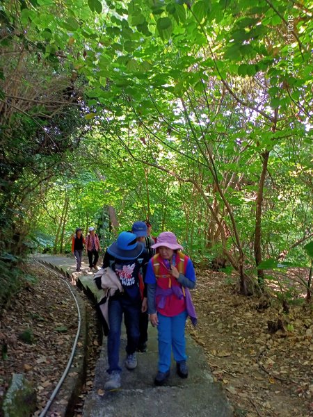 圓山水神社→小百岳劍潭山→八二三砲戰紀念公園→臺北故事館→臺北市立美術館→花博公園圓山園區→撫順公園2403223