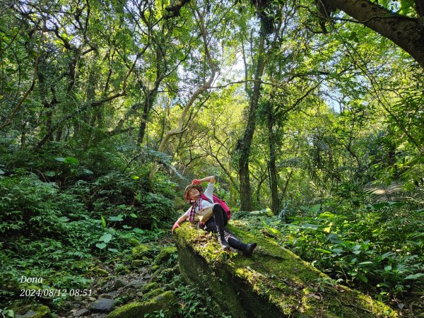 【淡蘭古道中路】崩山坑古道全段＆虎豹潭野餐2572649