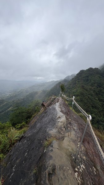 迎新（2026元旦2975599