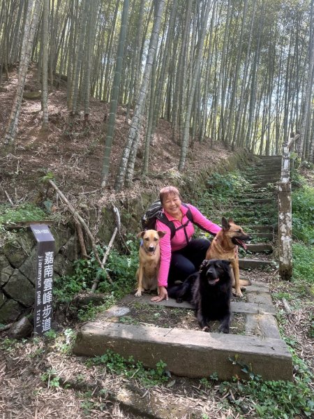 嘉南雲峰、九穹神木3014488