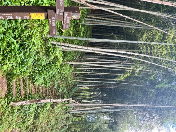 雲林小百岳-石壁山2850055