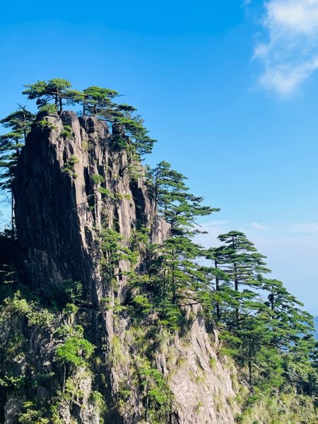 1140915-17安徽省黃山2891411