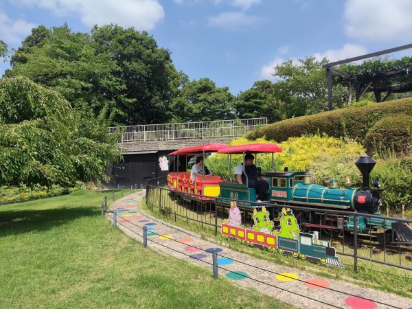 京都府三重縣天橋立3088194