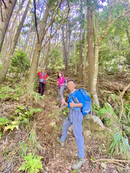 醜崠山納涼趣    2024/6/232534844