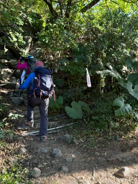 楓港紫竹林龍峰寺起登 里龍山(小百岳#80)來回2964448
