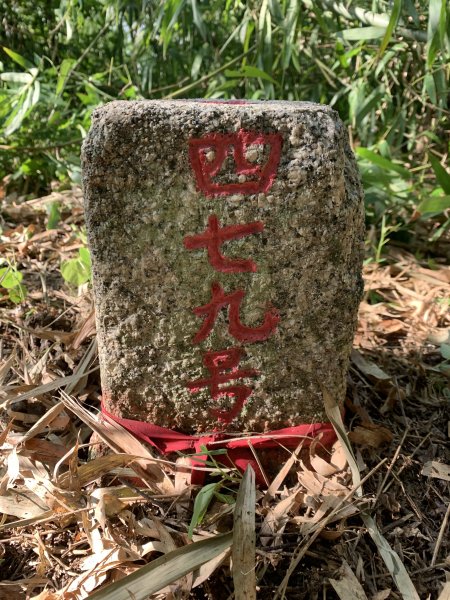 20250830高雄東崗山2877025