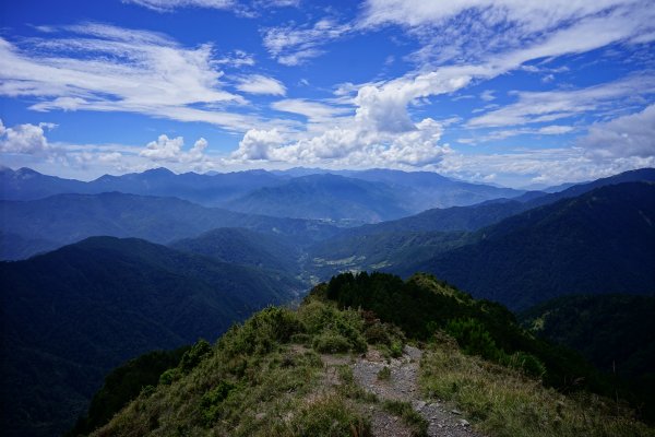 【44個理查】【桃山神木】2285549