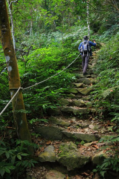 【步道資訊】林業保育署屏東分署尾寮山步道即日起重新開放