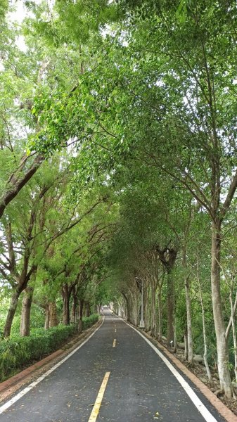 東豐自行車綠廊逍遙騎