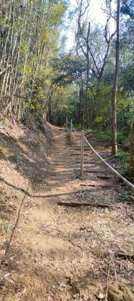 福源山步道2730315