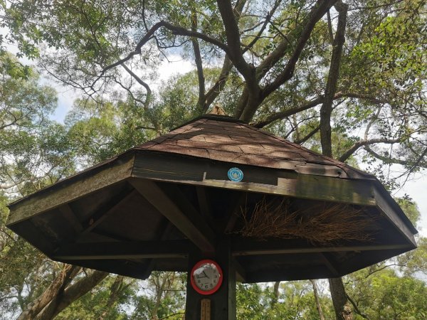 田中森林登山步道-依山稜線而建且景觀良好1048130