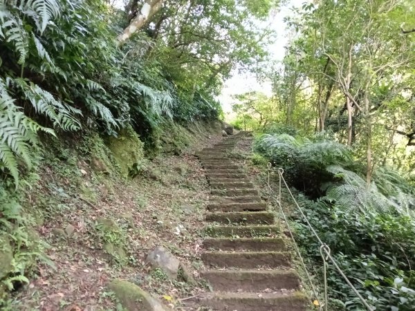 平溪區大華步道+幼坑古道+幼坑崙(大華車站-三貂嶺車站)2925172