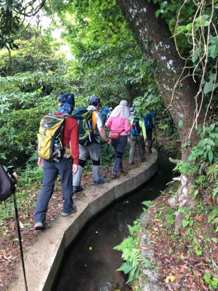 坪頂古圳親山步道321493