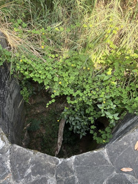 20251012高雄大社觀音山步道2915092