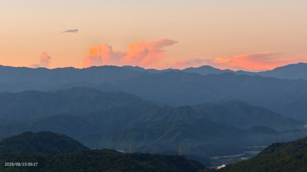 #二格山 #霞光 #日出 #艷紅鹿子百合 #大鳳蝶雄蝶 #紅花石蒜 #彼岸花 8/232867755