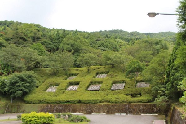 104東眼山步道3098021