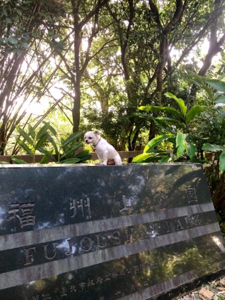 2019-08-10富陽公園、福州山656125