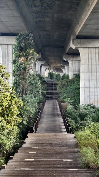 【台灣健行】台中沙鹿地下城2874459