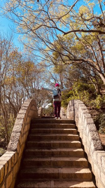 拱北殿賞楓🍁雙湖縱走賞落羽松2686650