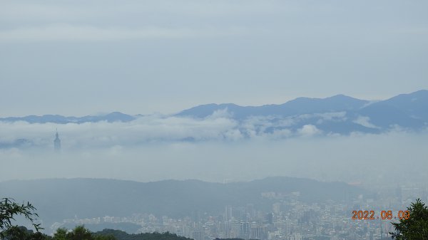 雲山水花鳥蝶 - 雲霧飄渺間的101大樓也是天空之城 ?1731679