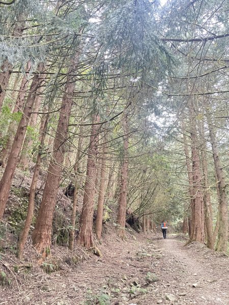 石山秀湖 2025 02/28 三天兩夜2865955