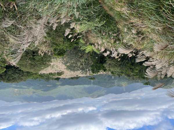 20231118_鵲子山步道（宜蘭小百岳）2763003