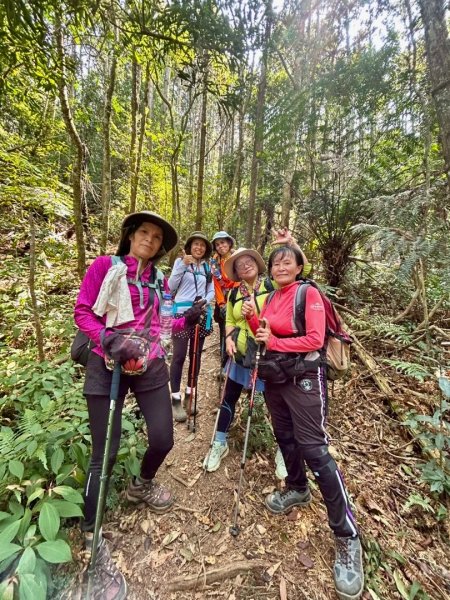 能高瀑布 福興山尋血藤3022238