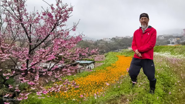 #平菁街 #鵝尾山梯田 #廣佑聖王廟 #寒櫻巷 #夕陽 1/24&252987027