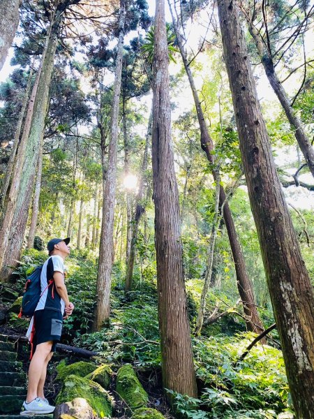 1131010慶祝國慶日溪頭之旅(賞鳥步道+登山步道)~初訪天文台2619289