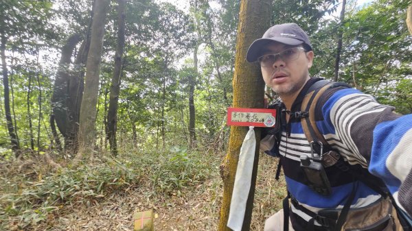 20251218犁頭山-吧哩國山主東峰-石頭坑山西南峰-石頭坑山2967011