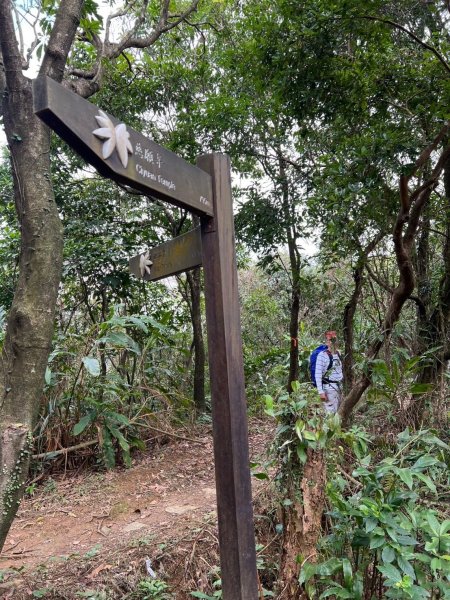 2025-01232淡蘭古道北二段(燦光寮古道到澳底)2696702