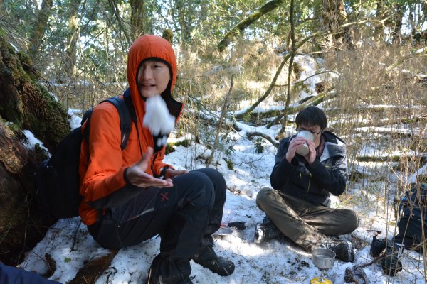 塔曼山樹洞雪景1239432