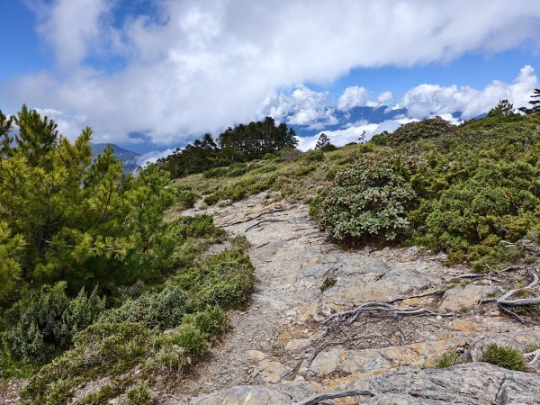 北一段(13/14)審馬陣山 2025_0906~132887537