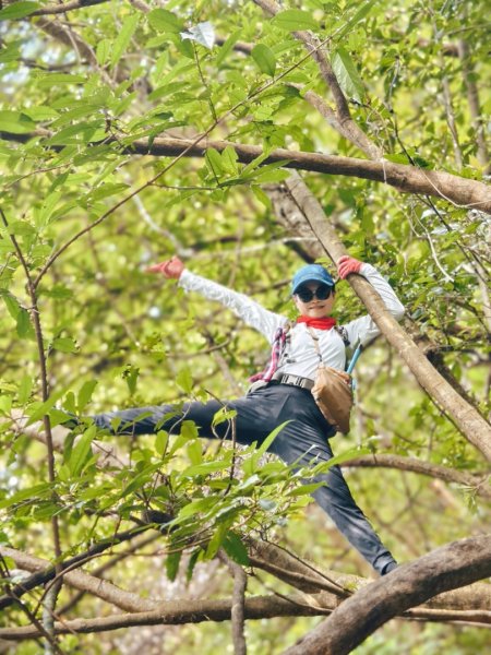 東勢大崙、東勢坑山、觀音湖山O走2986280