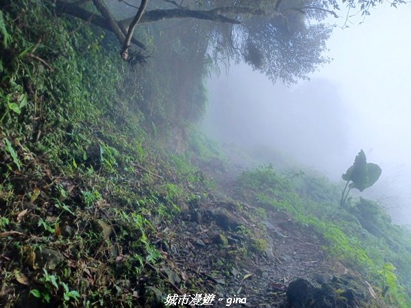 【台南。 楠西】滿滿的雲海太驚豔。 小百岳集起來。 編號67小百岳~竹子尖山步道1605925