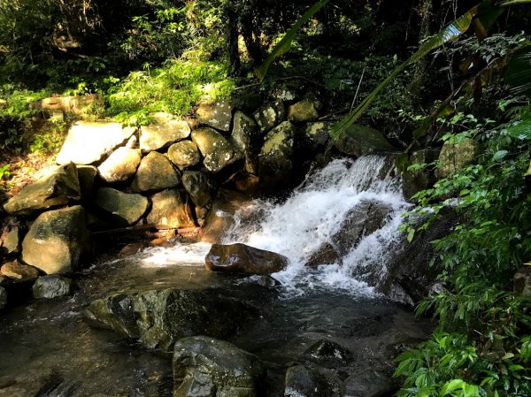 拉卡山前鋒_拉卡山_東滿步道滿月圓小O型201907271964399