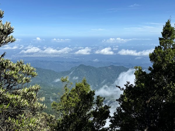 加里山O繞20250713(大坪登山口-杜鵑嶺-加里山-避難小屋-大坪登山口)封面